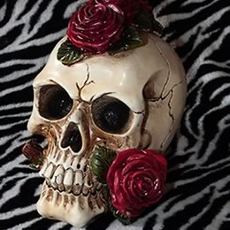 Skulls